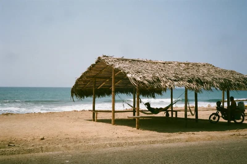 Photo 15